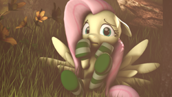 Size: 1920x1080 | Tagged: safe, artist:masterderp1, fluttershy, pegasus, pony, 3d, clothes, flower, grass, shy, socks, solo, source filmmaker, striped socks