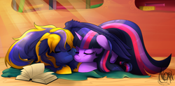 Size: 3128x1542 | Tagged: safe, artist:thenornonthego, derpibooru import, twilight sparkle, twilight sparkle (alicorn), oc, oc:zephyr, alicorn, pegasus, pony, blanket, book, canon x oc, crepuscular rays, eyes closed, female, floppy ears, hug, male, mare, prone, sleeping, smiling, snuggling, straight, twiphyr, unshorn fetlocks, winghug