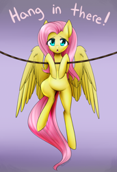 Size: 3900x5700 | Tagged: safe, artist:noodlefreak88, fluttershy, pegasus, pony, cute, hang in there, looking at you, motivational poster, rope, shyabetes, solo