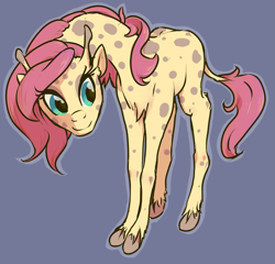 Size: 2485x2389 | Tagged: safe, artist:inlucidreverie, fluttershy, giraffe, giraffied, gray background, simple background, solo, species swap