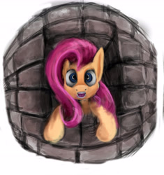 Size: 6000x6378 | Tagged: safe, artist:bluespiritofgood, fluttershy, pegasus, pony, absurd resolution, bust, female, full face view, gasp, looking at you, mare, solo, stone wall, window