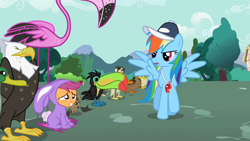 Size: 1280x720 | Tagged: safe, derpibooru import, edit, edited screencap, screencap, rainbow dash, scootaloo, bald eagle, bat, bird, butterfly, duck, eagle, flamingo, keel-billed toucan, pegasus, pony, toucan, may the best pet win, animal, animal costume, bunny costume, clothes, coach rainbow dash, costume, falcon, female, filly, foal, grin, mare, monarch butterfly, nervous, nervous grin, smiling, whistle