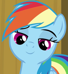 Size: 663x720 | Tagged: safe, derpibooru import, screencap, rainbow dash, pegasus, pony, common ground, amused, bust, cropped, female, lidded eyes, looking at something, mare, smiling, solo
