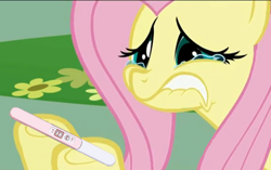 Size: 624x391 | Tagged: safe, artist:tenshikui, edit, edited screencap, screencap, fluttershy, pegasus, pony, crying, equine, lip bite, meme, my little pony, photoshop, pregnancy test, solo, this will end in tears