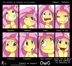 Size: 2214x2012 | Tagged: safe, artist:myfetishsituation, fluttershy, pegasus, pony, chart, cute, expressions, facial expressions, shyabetes, solo