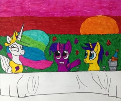 Size: 1876x1561 | Tagged: safe, artist:frollo7797, comet tail, princess celestia, twilight sparkle, alicorn, pony, cometlight, drawing, female, garden, male, mare, meeting, shipping, straight, traditional art