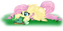 Size: 4000x2000 | Tagged: safe, artist:pvrii, fluttershy, frog, pegasus, pony, ear fluff, grass, lying, simple background, solo, spread wings, transparent background