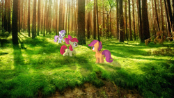 Size: 1920x1080 | Tagged: safe, derpibooru import, apple bloom, scootaloo, sweetie belle, cutie mark crusaders, forest, irl, photo, photoshop, ponies in real life, wallpaper