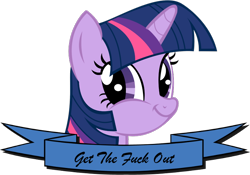 Size: 710x496 | Tagged: safe, derpibooru import, twilight sparkle, banner, gtfo, meme, mouthpiece, old banner, parody, solo, subversive kawaii, twiface, vulgar, wrong neighborhood