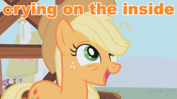 Size: 643x360 | Tagged: safe, applejack, earth pony, pony, crying inside, image macro, meme, solo