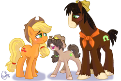 Size: 1024x683 | Tagged: safe, artist:mc10215, applejack, trouble shoes, oc, earth pony, pony, appleoosa's most wanted, blaze (coat marking), family, female, hat, male, mare, offspring, parent:applejack, parent:troubleshoes clyde, parents:troublejack, shipping, simple background, stallion, straight, transparent background, trio, troublejack, unnamed oc
