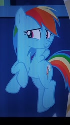 Size: 1440x2560 | Tagged: safe, derpibooru import, rainbow dash, pegasus, pony, school daze, looking at you, solo