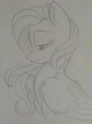 Size: 1936x2592 | Tagged: safe, artist:broohan, fluttershy, pegasus, pony, monochrome, sketch, solo