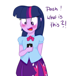 Size: 4000x4000 | Tagged: safe, artist:lisa400, derpibooru import, flash sentry, twilight sparkle, equestria girls, blushing, cellphone, dialogue, solo