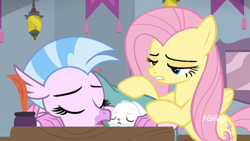 Size: 1600x900 | Tagged: safe, screencap, angel bunny, fluttershy, silverstream, classical hippogriff, hippogriff, pegasus, pony, rabbit, school daze, blanket, desk, discovery family logo, quill, school of friendship, sleeping