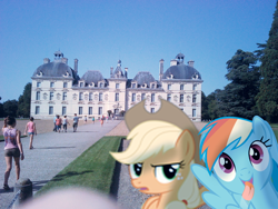 Size: 548x411 | Tagged: safe, artist:bastbrushie, derpibooru import, applejack, rainbow dash, earth pony, pegasus, pony, castle, château de cheverny, france, garden, irl, photo, ponies in real life