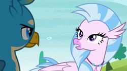 Size: 1280x720 | Tagged: safe, screencap, gallus, silverstream, school daze, female, looking at each other, male, smiling, smirk