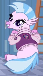 Size: 565x999 | Tagged: safe, silverstream, classical hippogriff, hippogriff, season 8, spoiler:s08, clothes, cute, diastreamies, jacket, letterman jacket, looking at you, looking back, looking back at you