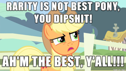 Size: 610x343 | Tagged: safe, applejack, earth pony, pony, accent, best pony, female, image macro, mare, meme, vulgar, y'all