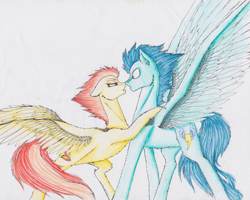 Size: 1130x904 | Tagged: safe, artist:penrosa, derpibooru import, soarin', spitfire, pony, female, male, old cutie mark, shipping, simple background, soarinfire, straight, traditional art, wingboner