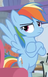 Size: 420x675 | Tagged: safe, derpibooru import, screencap, rainbow dash, pegasus, pony, non-compete clause, cropped, crossed hooves, rainbow dash is not amused, solo, unamused