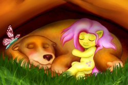 Size: 717x477 | Tagged: safe, artist:mentalmongloid, fluttershy, bear, butterfly, pegasus, pony, sleeping