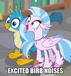 Size: 594x634 | Tagged: safe, edit, edited screencap, screencap, gallus, silverstream, bird, classical hippogriff, griffon, hippogriff, a matter of principals, adorable face, beak, birb, claws, cute, descriptive noise, diastreamies, discovery family logo, duo, duo male and female, excited, female, gallabetes, happy, horsebird, image macro, jewelry, male, meme, necklace, smiling, standing, teenager, wings