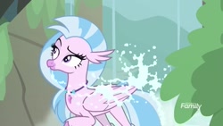 Size: 1920x1080 | Tagged: safe, screencap, silverstream, classical hippogriff, hippogriff, what lies beneath, dreamworks face, female, lidded eyes, raised eyebrow, solo, water, waterfall
