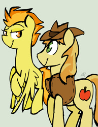 Size: 1158x1499 | Tagged: safe, artist:leetle-pink-fudge, derpibooru import, braeburn, spitfire, crack shipping, female, male, shipping, spitburn, straight