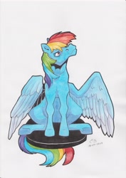 Size: 2480x3508 | Tagged: safe, artist:reptilianbirds, derpibooru import, rainbow dash, pegasus, pony, female, looking up, mare, semi-realistic, simple background, sitting, solo, traditional art, white background