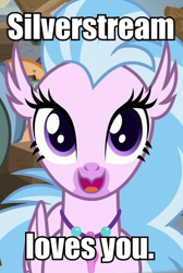 Size: 277x412 | Tagged: safe, edit, edited screencap, screencap, silverstream, classical hippogriff, hippogriff, a rockhoof and a hard place, bronybait, cropped, cute, diastreamies, female, heartwarming, image macro, looking at you, meme, positive ponies, solo, sweet dreams fuel, text