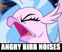 Size: 666x566 | Tagged: safe, edit, edited screencap, screencap, silverstream, what lies beneath, 4chan, angry, birb, cropped, descriptive noise, eyes closed, image macro, meme, rage, screaming, silverrage, solo, text