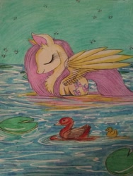 Size: 1024x1365 | Tagged: safe, artist:penkatshi, fluttershy, duck, pegasus, pony, swan, chest fluff, female, mare, pond, sketch, traditional art, water