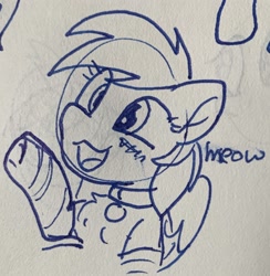 Size: 1964x2011 | Tagged: safe, artist:rainbow eevee, derpibooru import, rainbow dash, pegasus, pony, behaving like a cat, blushing, bust, clothes, collar, cute, daaaaaaaaaaaw, lineart, socks, solo, traditional art