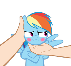 Size: 10417x9775 | Tagged: safe, artist:mrkat7214, derpibooru import, rainbow dash, human, pegasus, pony, :t, absurd resolution, blushing, chin scratch, cute, dashabetes, hand, human on pony petting, offscreen character, offscreen human, petting, pov, rainbow dash is not amused, show accurate, simple background, spread wings, transparent background, tsunderainbow, tsundere, unamused, vector, wings