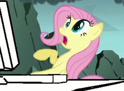 Size: 320x236 | Tagged: safe, screencap, fluttershy, pegasus, pony, dragonshy, computer, reaction image, scared, solo