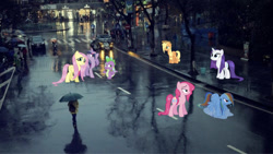 Size: 666x375 | Tagged: safe, derpibooru import, edit, editor:undeadponysoldier, applejack, fluttershy, pinkie pie, rainbow dash, rarity, spike, twilight sparkle, unicorn twilight, dragon, earth pony, human, pegasus, pony, unicorn, angry, car, city, clothes, coat, dragons in real life, female, irl, irl human, lidded eyes, male, mane seven, mane six, mare, motorcycle, photo, ponies in real life, puddle, rain, road, trash can, umbrella, wet mane