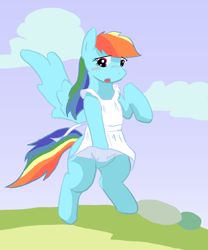 Size: 746x896 | Tagged: safe, artist:seidouryu, derpibooru import, rainbow dash, pegasus, pony, apron, blushing, clothes, female, flying, mare, naked apron, solo