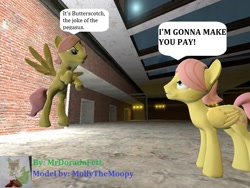 Size: 800x600 | Tagged: safe, butterscotch, fluttershy, pegasus, pony, 3d, discorded, gmod, rule 63, self ponidox