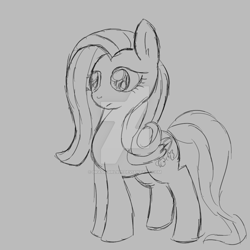 Size: 800x800 | Tagged: safe, artist:brashgirl901, fluttershy, pegasus, pony, monochrome, sketch, solo, watermark