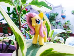 Size: 3264x2448 | Tagged: safe, artist:akakun, fluttershy, figure, irl, merchandise, photo, plant, solo