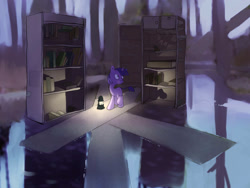 Size: 1600x1200 | Tagged: safe, artist:error21, derpibooru import, discord, twilight sparkle, book, library, swamp