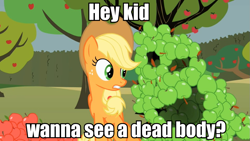 Size: 959x539 | Tagged: safe, applejack, earth pony, pony, apple, hellsing ultimate abridged, image macro, meme, team four star