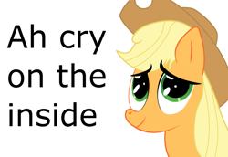 Size: 1022x702 | Tagged: safe, artist:flareblitzfury, applejack, earth pony, pony, tanks for the memories, applejack cries on the inside, crying inside, solo, text