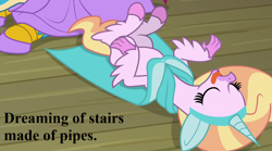 Size: 1152x640 | Tagged: safe, edit, edited screencap, screencap, gallus, silverstream, horse play, what lies beneath, cloak, clothes, costume, cropped, cute, diastreamies, fake ears, fake horn, gallabetes, silverstream does loves indoor plumbing, sleeping, text, that hippogriff sure does love indoor plumbing, that hippogriff sure does love stairs, tongue out
