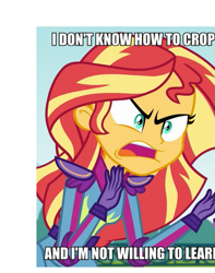 Size: 413x525 | Tagged: safe, edit, edited screencap, screencap, sunset shimmer, equestria girls, friendship games, angry, bad cropping, caption, cropped, exploitable meme, image macro, meme, solo, sunset is not willing to learn, text