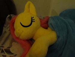 Size: 800x600 | Tagged: artist needed, safe, fluttershy, cute, irl, photo, plushie, shyabetes, sleeping