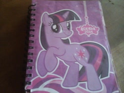 Size: 2048x1536 | Tagged: safe, derpibooru import, twilight sparkle, 2014, agenda, book, diary, journal, merchandise, solo, spanish, special face