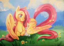 Size: 3630x2616 | Tagged: safe, artist:corelle-vairel, angel bunny, fluttershy, pegasus, pony, rabbit, acrylic painting, canvas, cloud, cropped, duo, flower, flower in hair, grass, lying, lying down, raised tail, traditional art, wing blanket