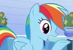 Size: 687x472 | Tagged: safe, derpibooru import, screencap, rainbow dash, pegasus, pony, games ponies play, cropped, female, mare, open mouth, profile, raised hoof, solo